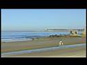 pferd panorama.jpg